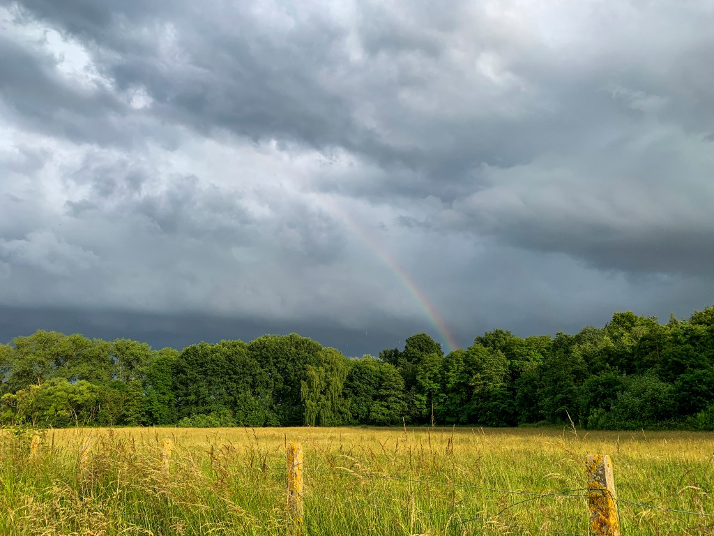 Feest zonder franjes