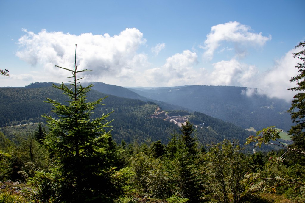 Reisverslag: Het Zwarte Woud